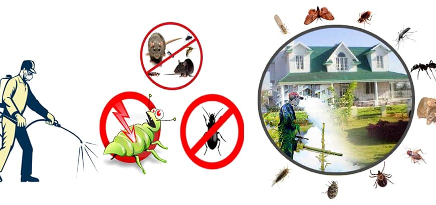 Pest Control